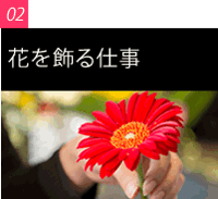decorate_nav_02