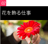 decorate_nav_02