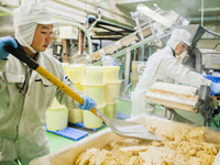 miso_pic_02_06-1